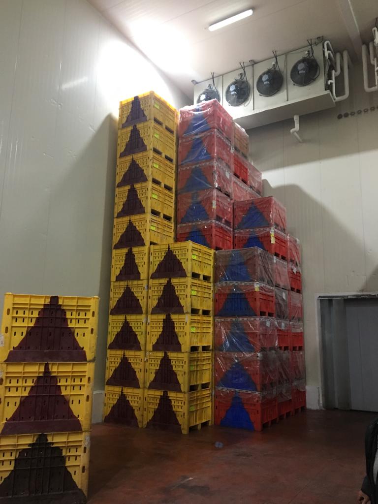 תמונה ארגזים במחסן קירור טופ קור לוגיסטיקה
